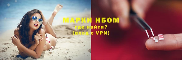 стаф Аркадак