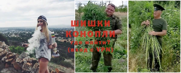 стаф Аркадак
