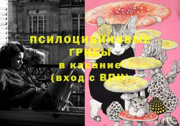 бошки Арсеньев