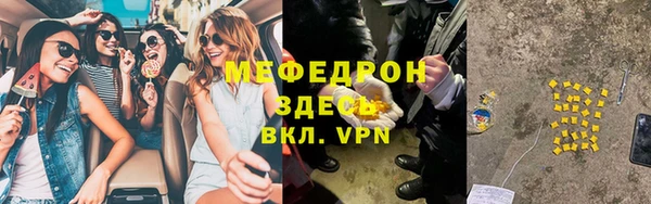 стаф Аркадак