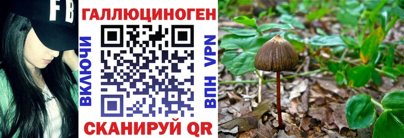 купить  цена  Арск  Псилоцибиновые грибы Cubensis 